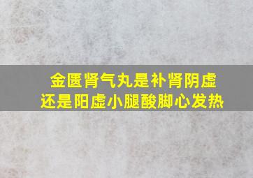 金匮肾气丸是补肾阴虚还是阳虚小腿酸脚心发热