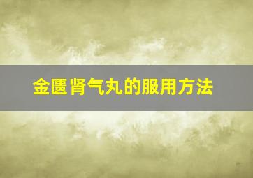 金匮肾气丸的服用方法