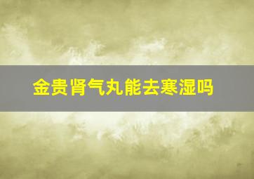 金贵肾气丸能去寒湿吗