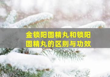 金锁阳固精丸和锁阳固精丸的区别与功效