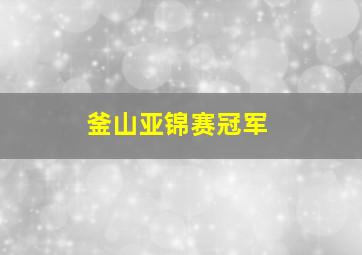 釜山亚锦赛冠军