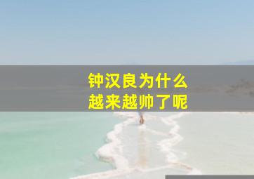 钟汉良为什么越来越帅了呢