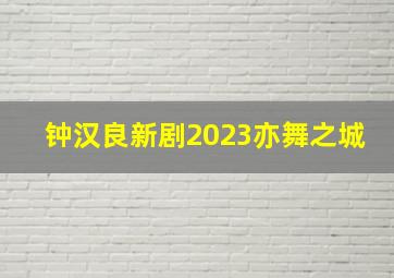 钟汉良新剧2023亦舞之城