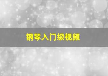 钢琴入门级视频