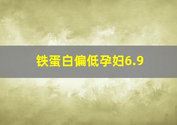 铁蛋白偏低孕妇6.9