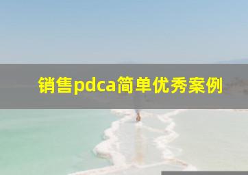 销售pdca简单优秀案例