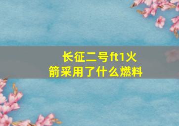 长征二号ft1火箭采用了什么燃料