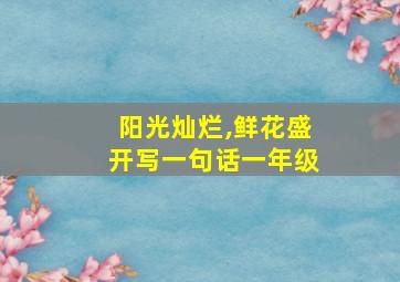 阳光灿烂,鲜花盛开写一句话一年级