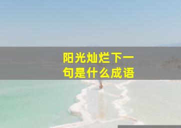 阳光灿烂下一句是什么成语