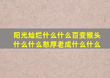 阳光灿烂什么什么百变猴头什么什么憨厚老成什么什么