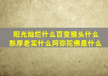 阳光灿烂什么百变猴头什么憨厚老实什么阿弥陀佛是什么