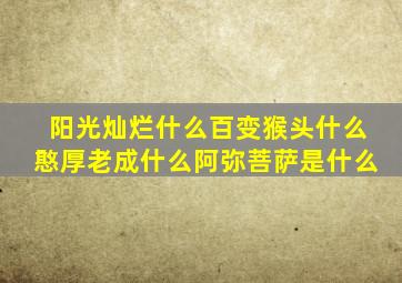 阳光灿烂什么百变猴头什么憨厚老成什么阿弥菩萨是什么