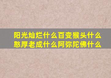 阳光灿烂什么百变猴头什么憨厚老成什么阿弥陀佛什么