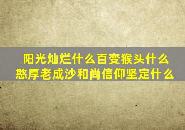 阳光灿烂什么百变猴头什么憨厚老成沙和尚信仰坚定什么