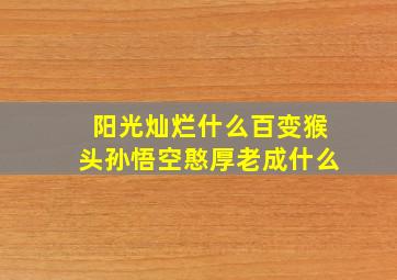 阳光灿烂什么百变猴头孙悟空憨厚老成什么