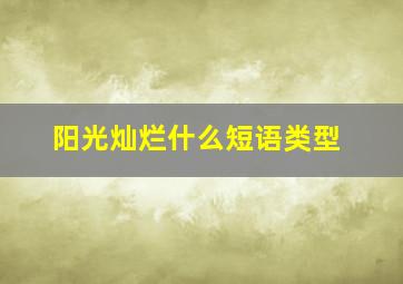 阳光灿烂什么短语类型