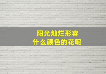 阳光灿烂形容什么颜色的花呢