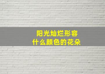 阳光灿烂形容什么颜色的花朵