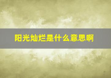 阳光灿烂是什么意思啊