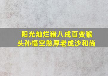 阳光灿烂猪八戒百变猴头孙悟空憨厚老成沙和尚