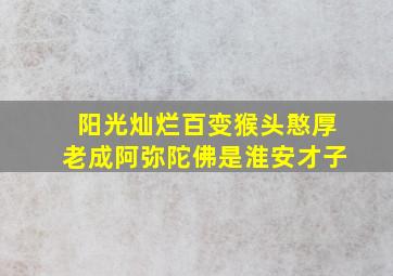 阳光灿烂百变猴头憨厚老成阿弥陀佛是淮安才子