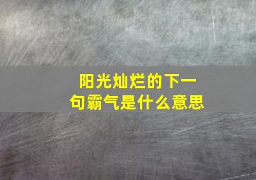 阳光灿烂的下一句霸气是什么意思