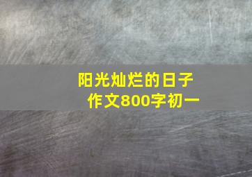 阳光灿烂的日子作文800字初一