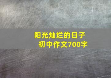 阳光灿烂的日子初中作文700字