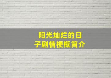 阳光灿烂的日子剧情梗概简介