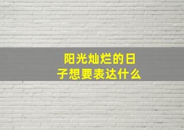 阳光灿烂的日子想要表达什么