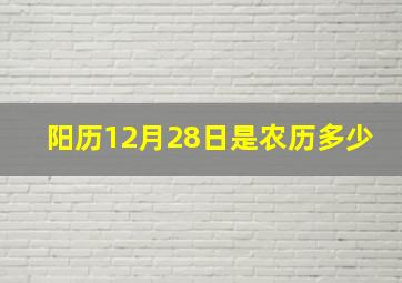 阳历12月28日是农历多少