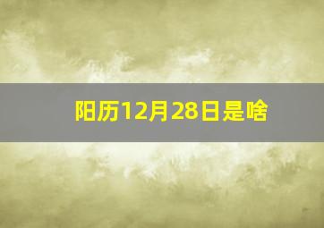 阳历12月28日是啥