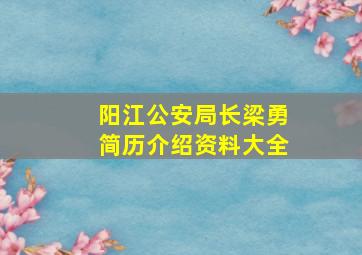 阳江公安局长梁勇简历介绍资料大全