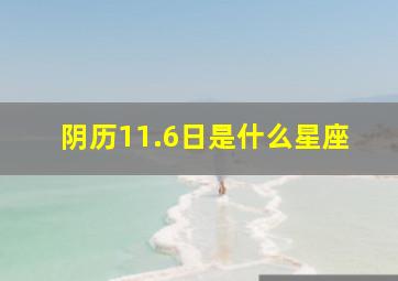 阴历11.6日是什么星座