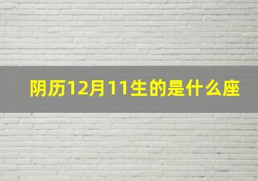 阴历12月11生的是什么座