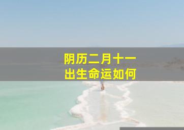 阴历二月十一出生命运如何