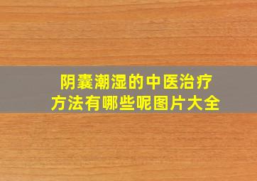 阴囊潮湿的中医治疗方法有哪些呢图片大全