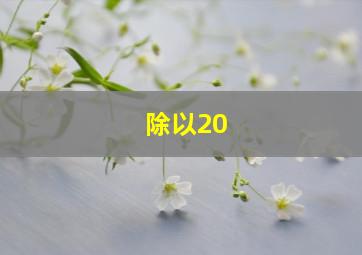 除以20