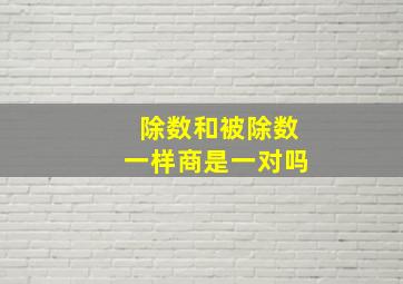 除数和被除数一样商是一对吗