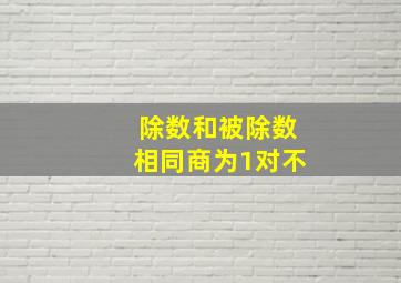 除数和被除数相同商为1对不