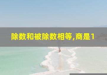 除数和被除数相等,商是1