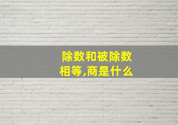 除数和被除数相等,商是什么