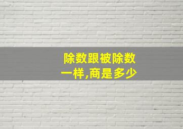 除数跟被除数一样,商是多少