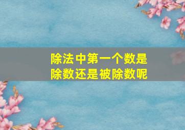 除法中第一个数是除数还是被除数呢