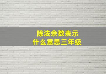 除法余数表示什么意思三年级