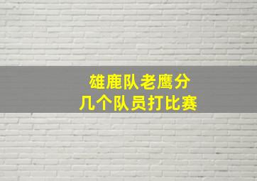 雄鹿队老鹰分几个队员打比赛