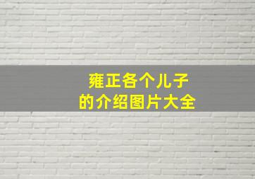 雍正各个儿子的介绍图片大全