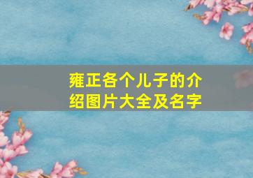 雍正各个儿子的介绍图片大全及名字