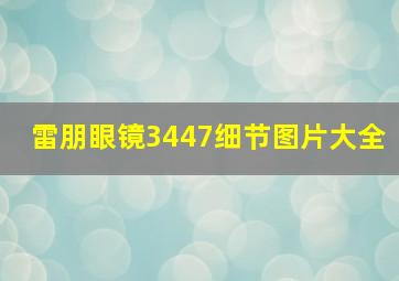 雷朋眼镜3447细节图片大全