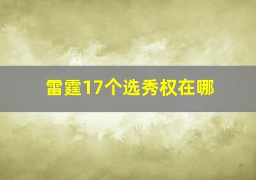 雷霆17个选秀权在哪